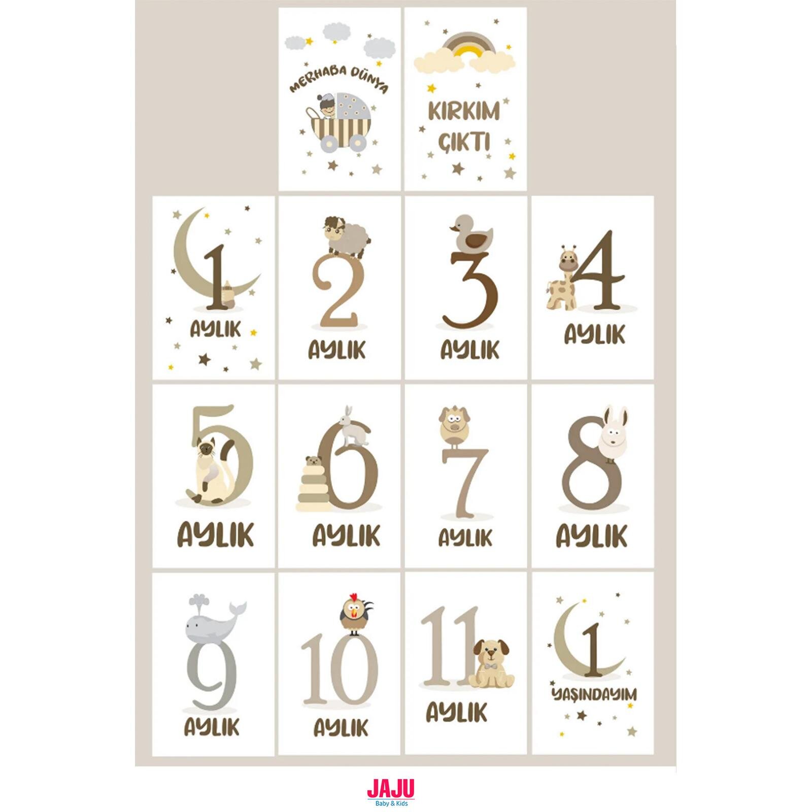 Yeni Doğan Bebek Ay Kartları | 1-12 Ay Doğum & Kırkı Çıktı | Fotoğraf Çekim Unisex Anı Kartları Seti Yeni Doğan Bebek Ay Kartları | 1-12 Ay Doğum & Kırkı Çıktı | Fotoğraf Çekim Unisex Anı Kartları Seti