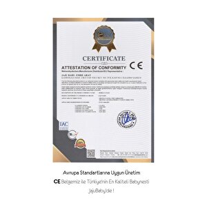 Çantalı Babynest Taşınabilir Anne Yanı Islanan Panda Pike Babynest