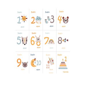 Aylık Anı Battaniyesi Bebek Hediyesi - Hediyelik Kız Bebek Yeni Doğan Doğum Hediye Seti - Baby Shower Aylık Anı Battaniyesi Bebek Hediyesi - Hediyelik Kız Bebek Yeni Doğan Doğum Hediye Seti - Baby Shower