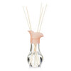 Bebek Pudra Kokusu 50 ml