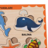 Ahşap Deniz Hayvanları Eğitici Set