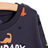 Basic Dinazor Desenli İnterlok Uzun kol Tshirt Erkek Bebek