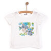 Basic Koala Baskılı  Tshirt Kız Bebek