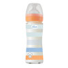 Wellbeing Yavaş Akış Mavi Cam Biberon 240 ml 0+ Ay