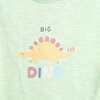 Dino Party Tshirt-Şort Takım Erkek Bebek