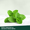 Doğal Nane Özlü Diş Macunu 90 ml