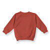 Erkek Bebek Sweatshirt  Dinazor Baskılı Bisiklet Yaka Uzun Kol