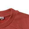 Erkek Bebek Sweatshirt  Dinazor Baskılı Bisiklet Yaka Uzun Kol