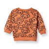 Erkek Bebek Sweatshirt Uzun Kol