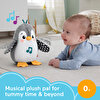Fisher Price Flap ve Wobble Penguen HNC10