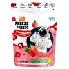 Freeze Fresh Çıtır Küpler 20gr