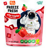 Freeze Fresh Çıtır Küpler 20gr