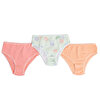 Kız Bebek 3lü Slip Külot