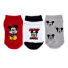 Mickey Mouse 3'lü Bilek Çorap Erkek Bebek