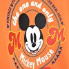Mickey Mouse Erkek Sweatshirt Erkek Bebek