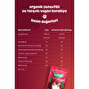 Organik Vegan Zencefilli ve Tarçınlı Kurabiye 55 gr