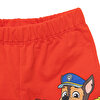 Patrol - NICKELODEON Paw Patrol Şort