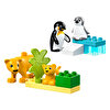 Penguen ve Aslanlar 10442