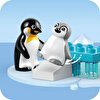 Penguen ve Aslanlar 10442