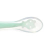 Püre Kaşığı (Saklama Kutulu) - Yeşil