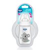 Safari Kulplu PP Biberon 250 ML  - Koala 484