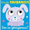 Sen Ne Görüyorsun - Küçük Tavşancık (Dokun ve Hissetli)