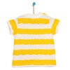 Tshirt Erkek Bebek