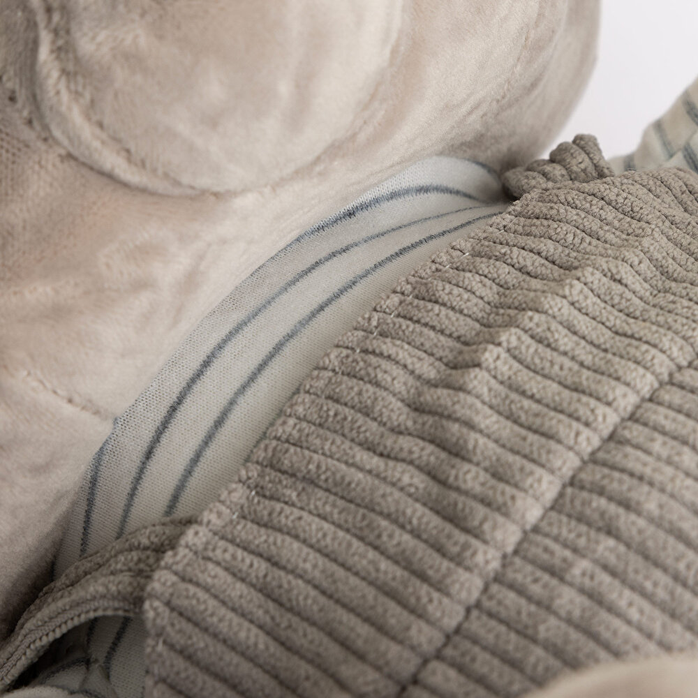 1480 Arkadaşım Fil