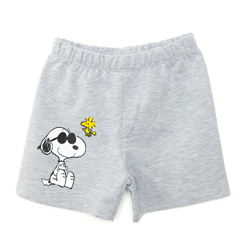 24Y Snoopy Şort Erkek Bebek
