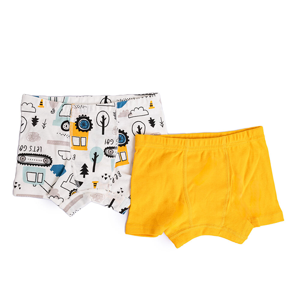 2li Erkek Boxer