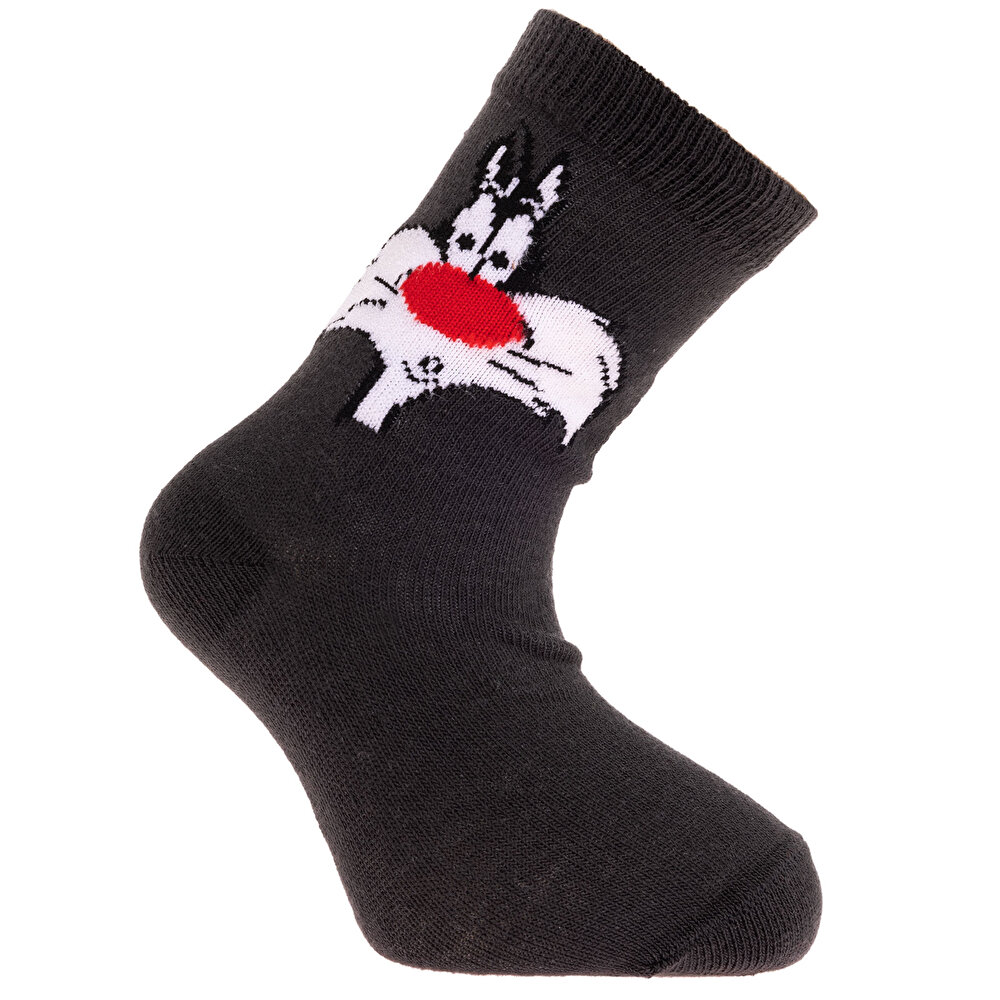 Looney Tunes 3lü Soket Çorap Erkek Bebek
