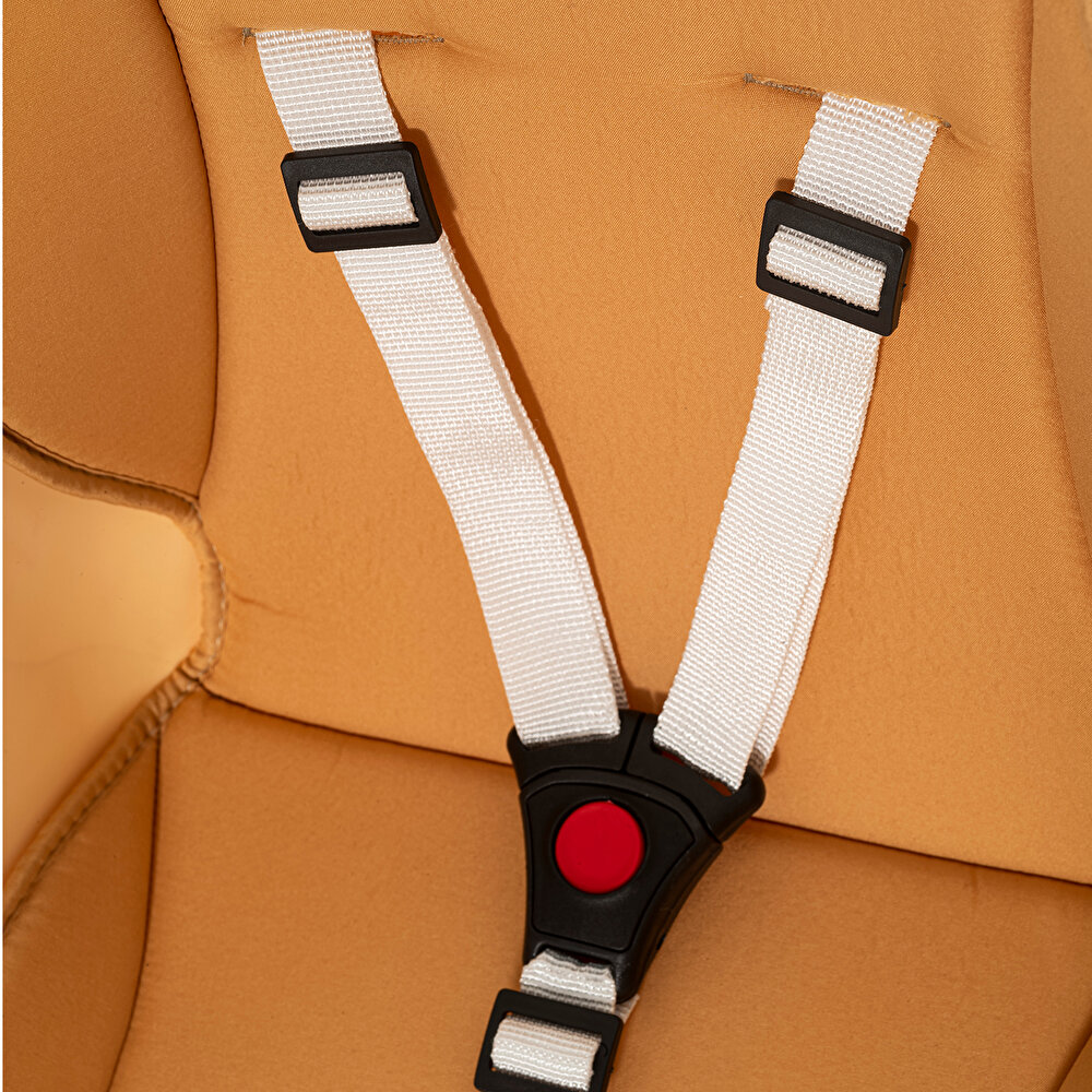 Multi Masalı Mama Sandalyesi