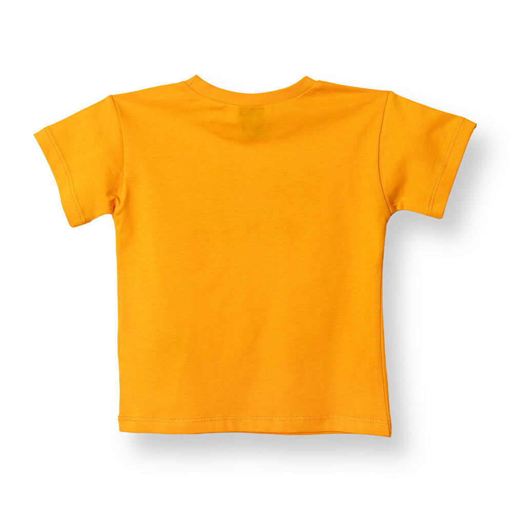Erkek Tshirt Erkek Bebek