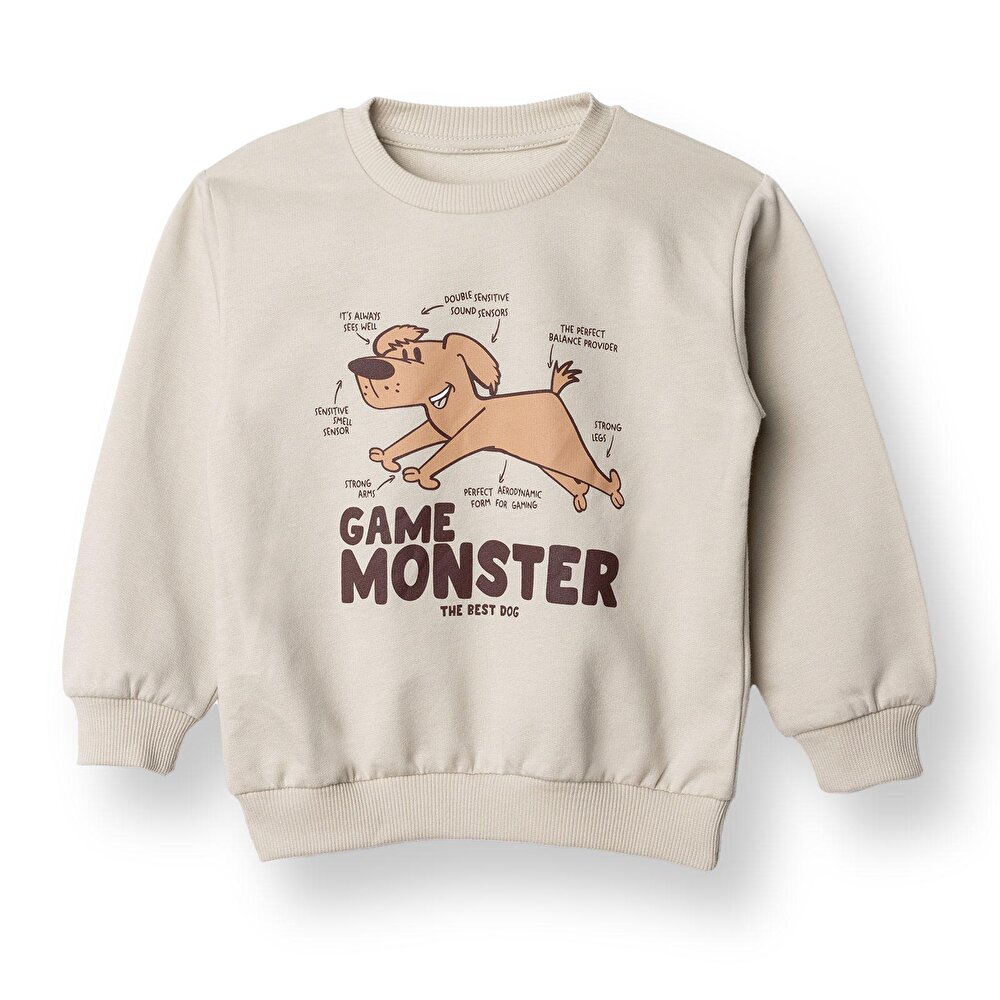 Basic Sweatshirt