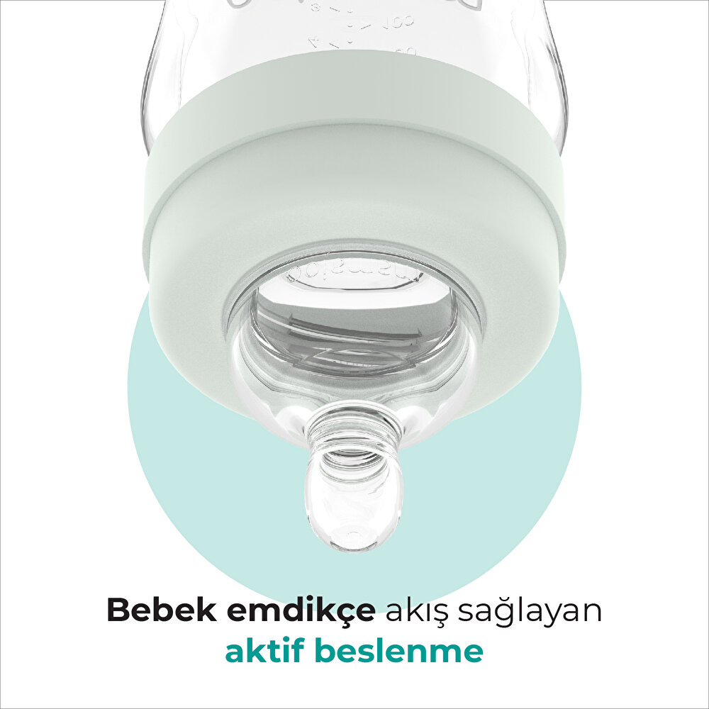 Karanlıkta Parlayan Orta Akış Antikolik PP Biberon 270 ml