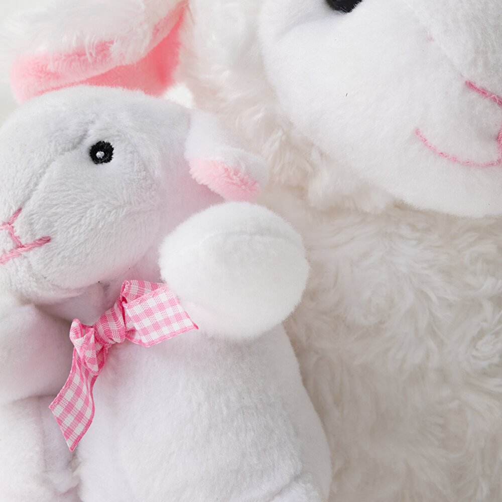 Yavrulu Türkçe Masal Anlatan Kuzu