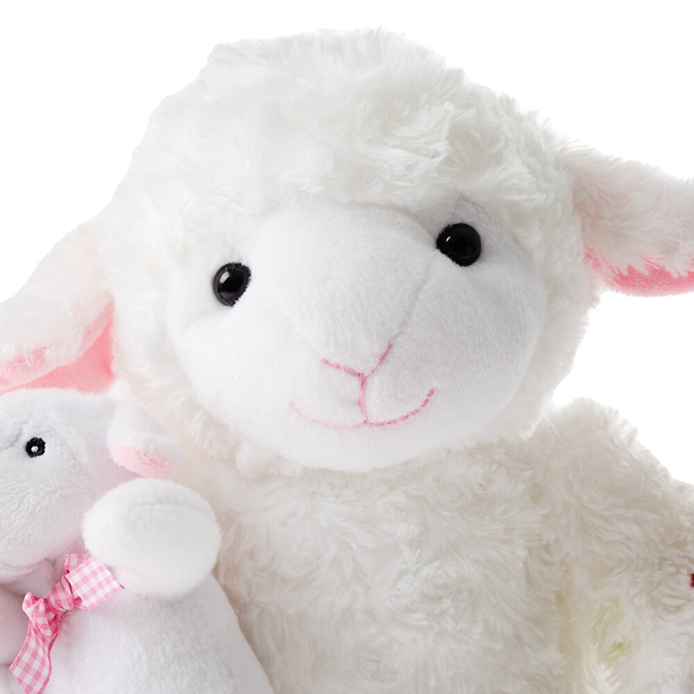 Yavrulu Türkçe Masal Anlatan Kuzu