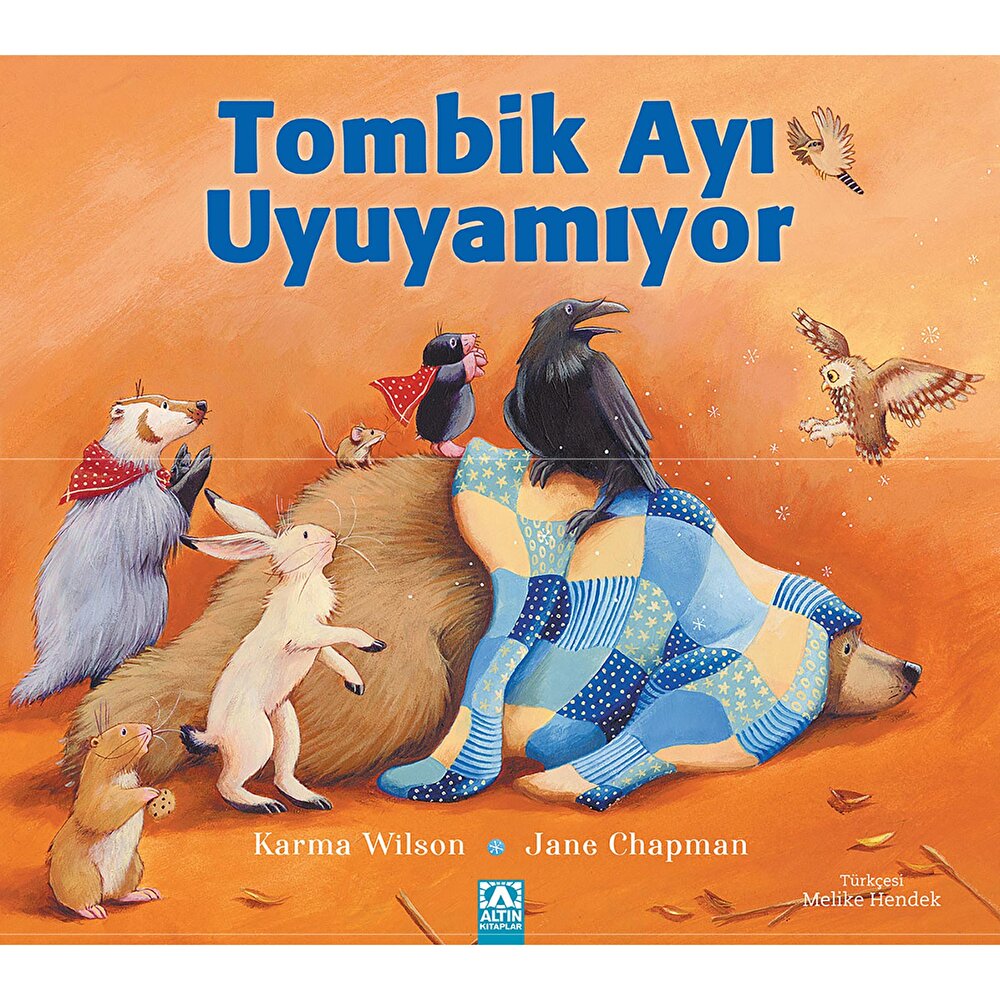 Tombik Ayı Uyuyamıyor