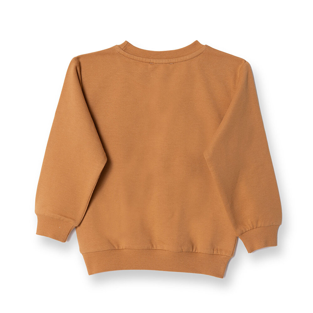Ayıcık Baskılı Sweatshirt Erkek Bebek
