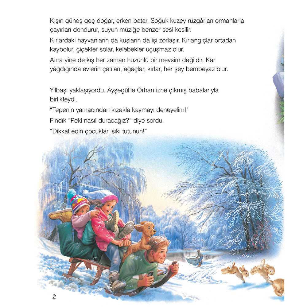 Ayşegül 13: Yılbaşı Sürprizi