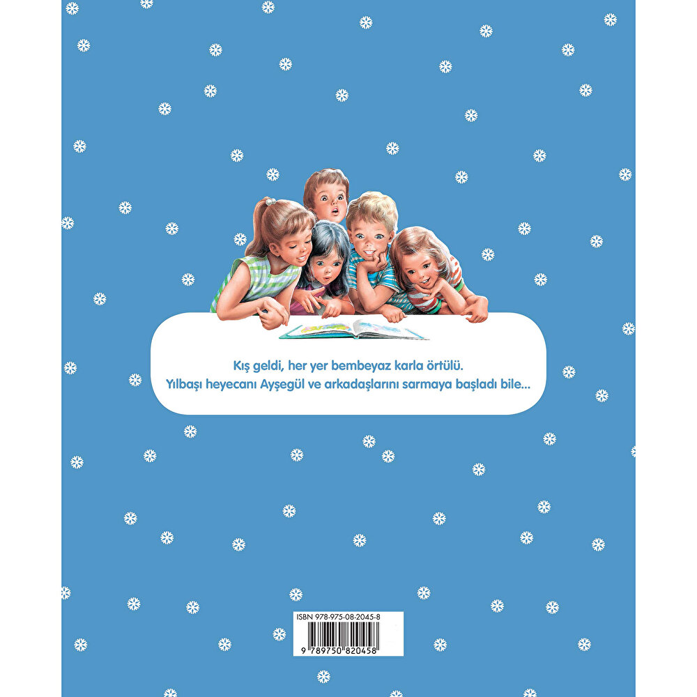 Ayşegül 13: Yılbaşı Sürprizi