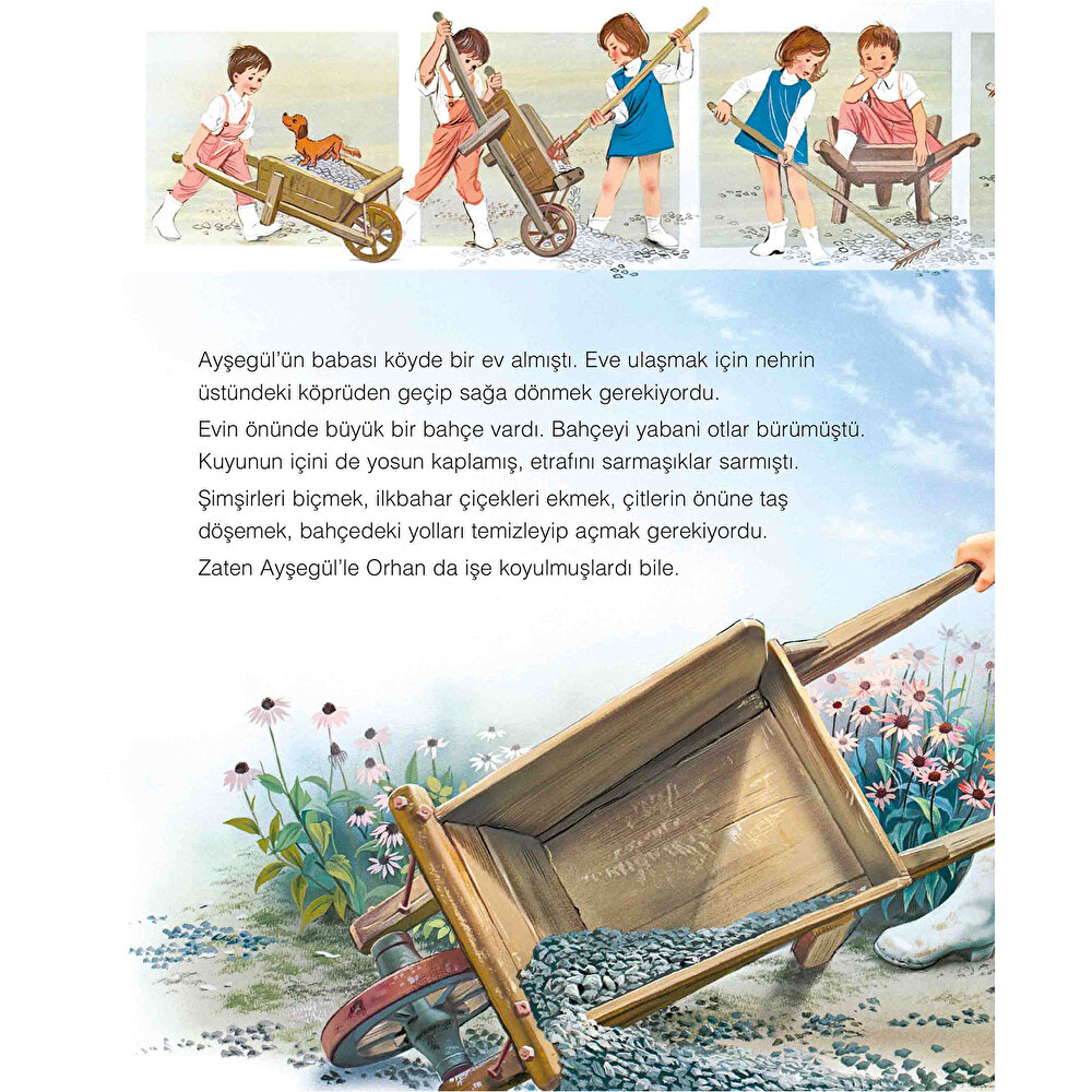 Ayşegül 25: Bahçesini Süslüyor