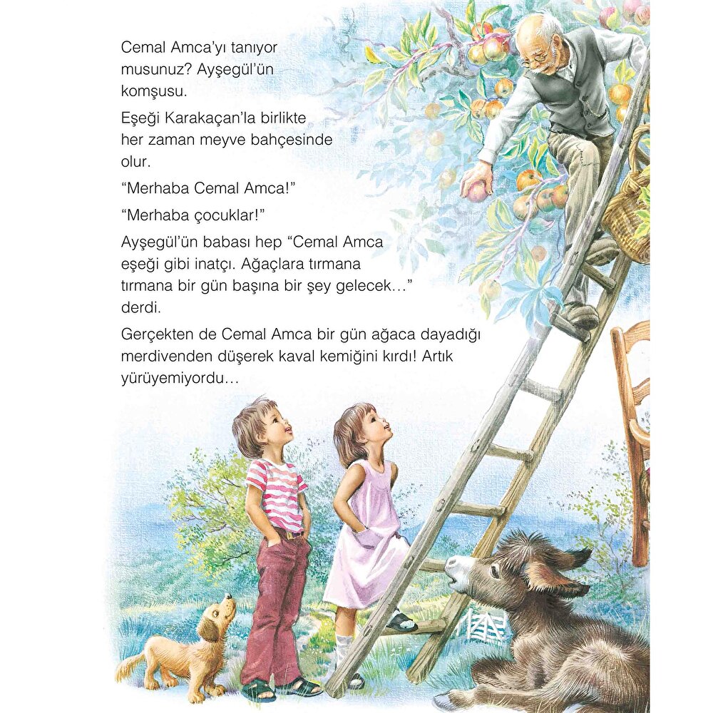 Ayşegül 51: Arkadaşım Karakaçan