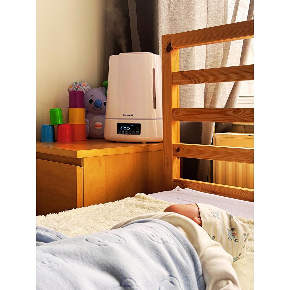 WHC740 Soğuk Buhar Üfleyici