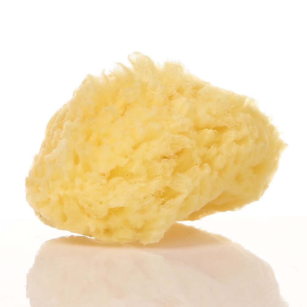 Doğal Deniz Bebek Banyo Süngeri