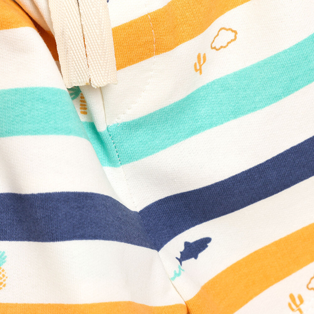 Baby Shark Tshirt-Şort Takım Erkek Bebek