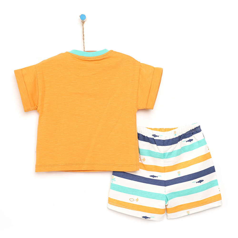 Baby Shark Tshirt-Şort Takım Erkek Bebek