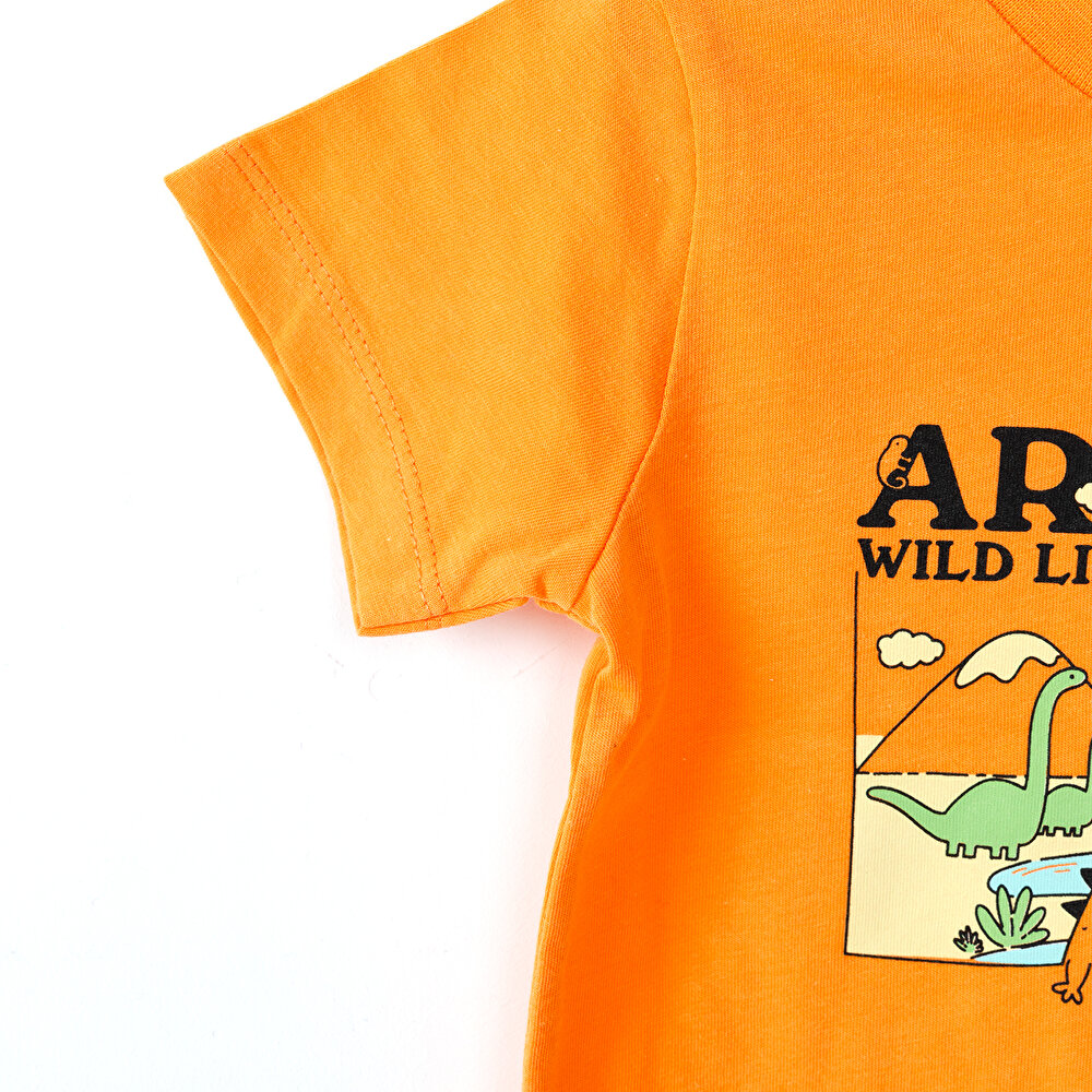 Basic Arizona Baskılı Tshirt Erkek Bebek