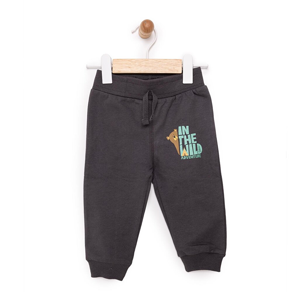 Basic Ayı Baskılı Az Şardonlu Eşofman Alt Unisex