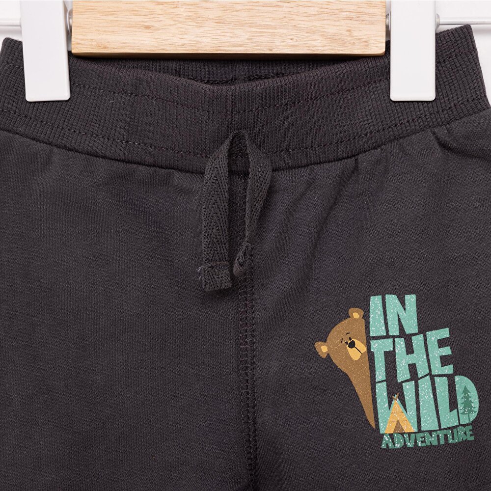 Basic Ayı Baskılı Az Şardonlu Eşofman Alt Unisex